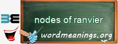 WordMeaning blackboard for nodes of ranvier